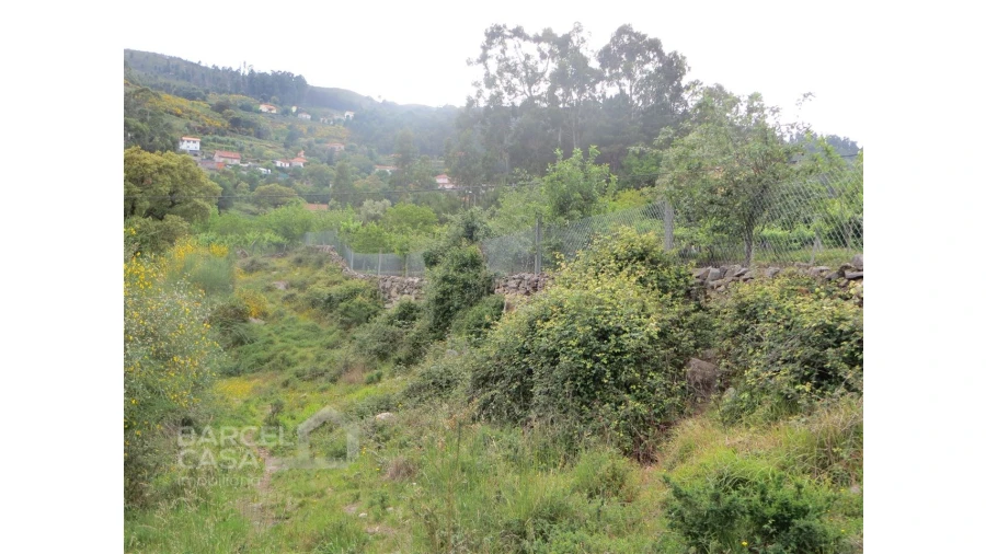 Terreno para Venda em Navió e Vitorino dos Piães Foto 6
