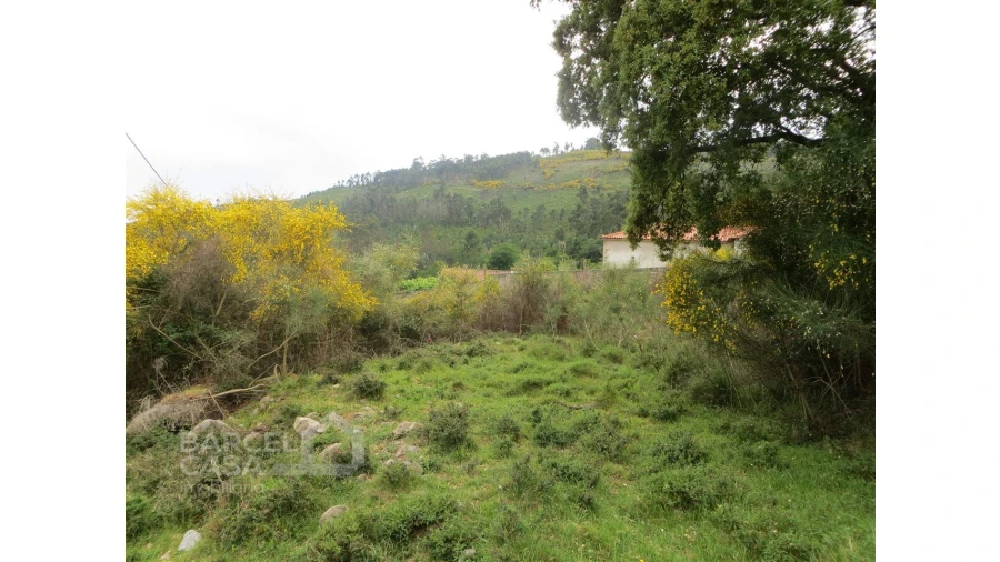 Terreno para Venda em Navió e Vitorino dos Piães Foto 7