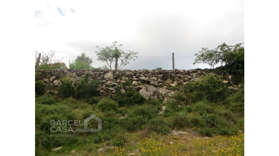 Terreno para Venda em Navió e Vitorino dos Piães Foto 8