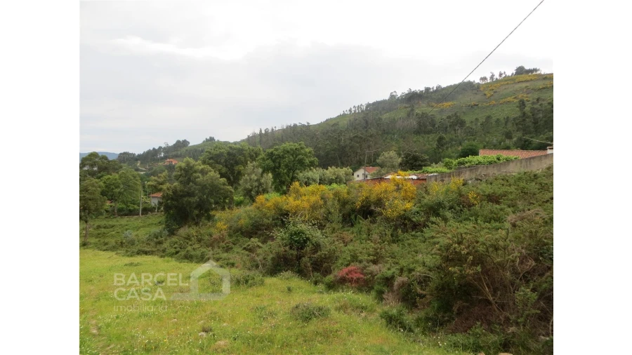Terreno para Venda em Navió e Vitorino dos Piães Foto 9