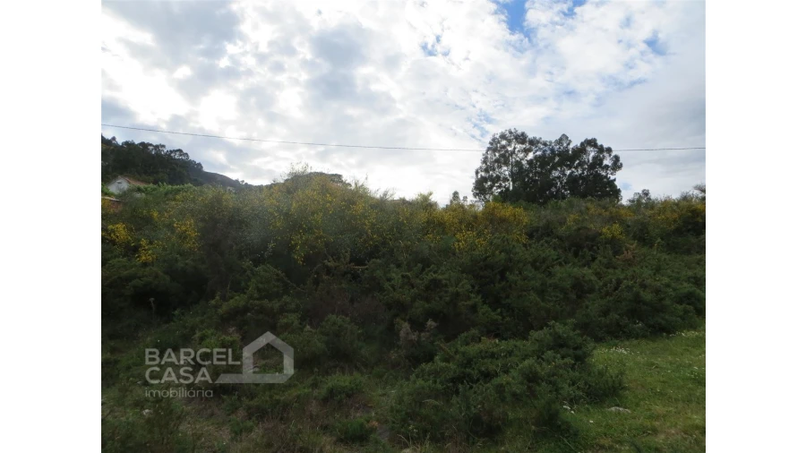 Terreno para Venda em Navió e Vitorino dos Piães Foto 11