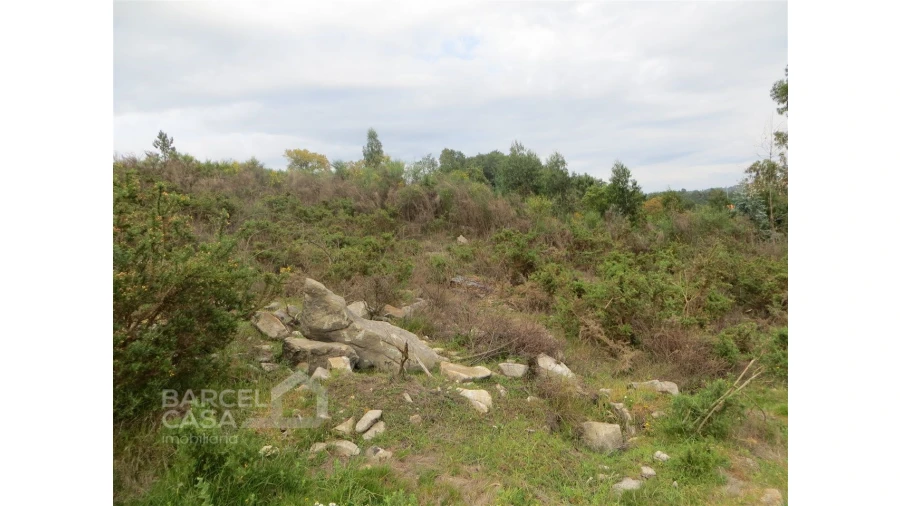 Terreno para Venda em Navió e Vitorino dos Piães Foto 12