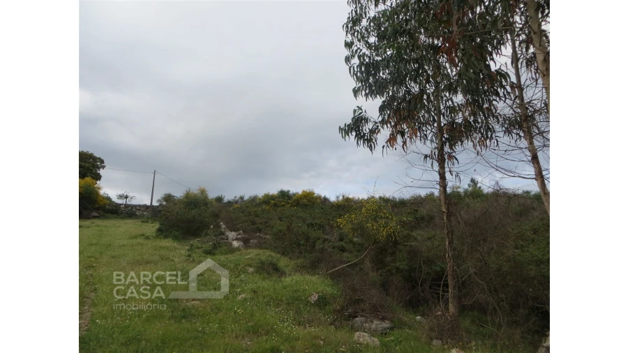 Terreno para Venda em Navió e Vitorino dos Piães Foto 15