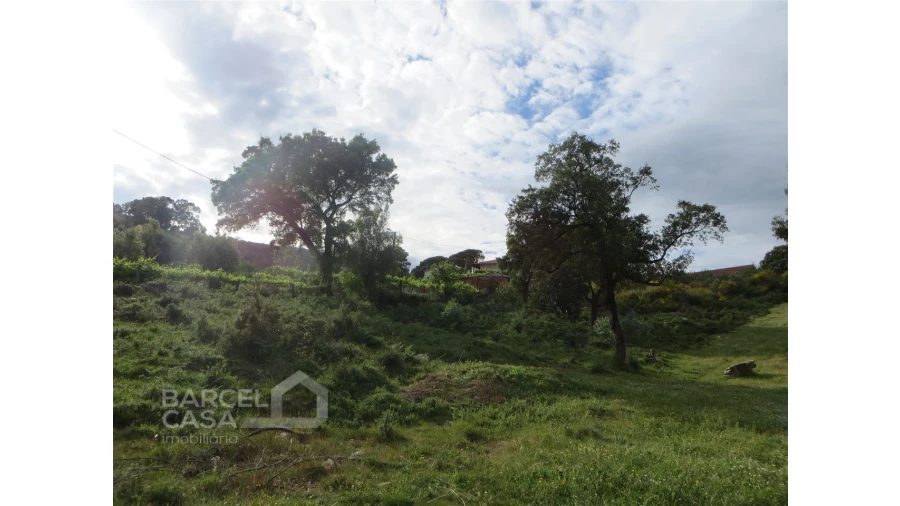 Terreno para Venda em Navió e Vitorino dos Piães Foto 17