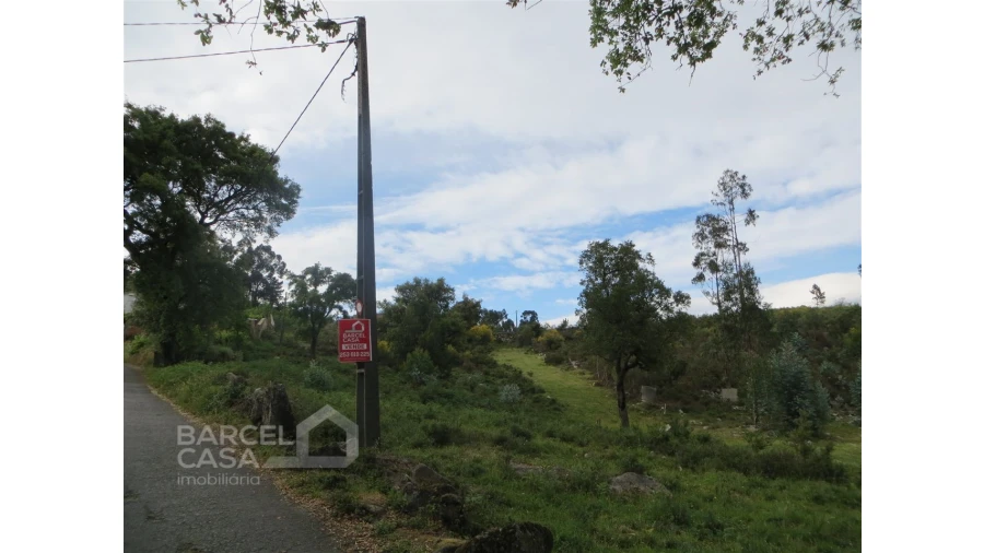 Terreno para Venda em Navió e Vitorino dos Piães Foto 18