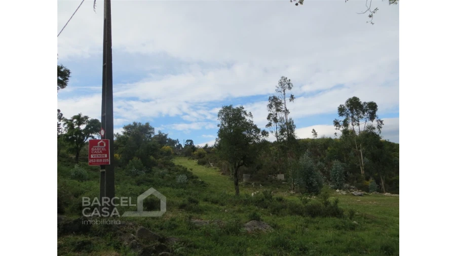 Terreno para Venda em Navió e Vitorino dos Piães Foto 19