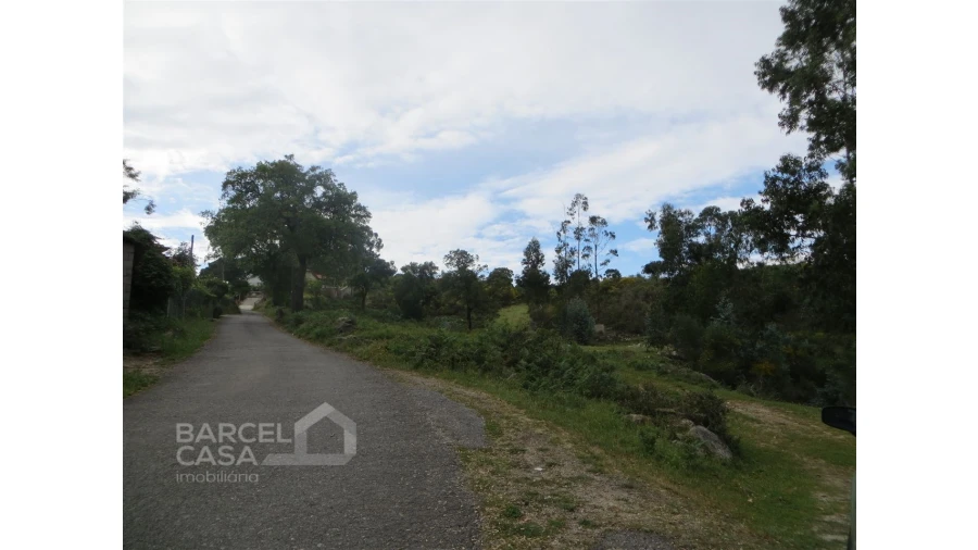 Terreno para Venda em Navió e Vitorino dos Piães Foto 20