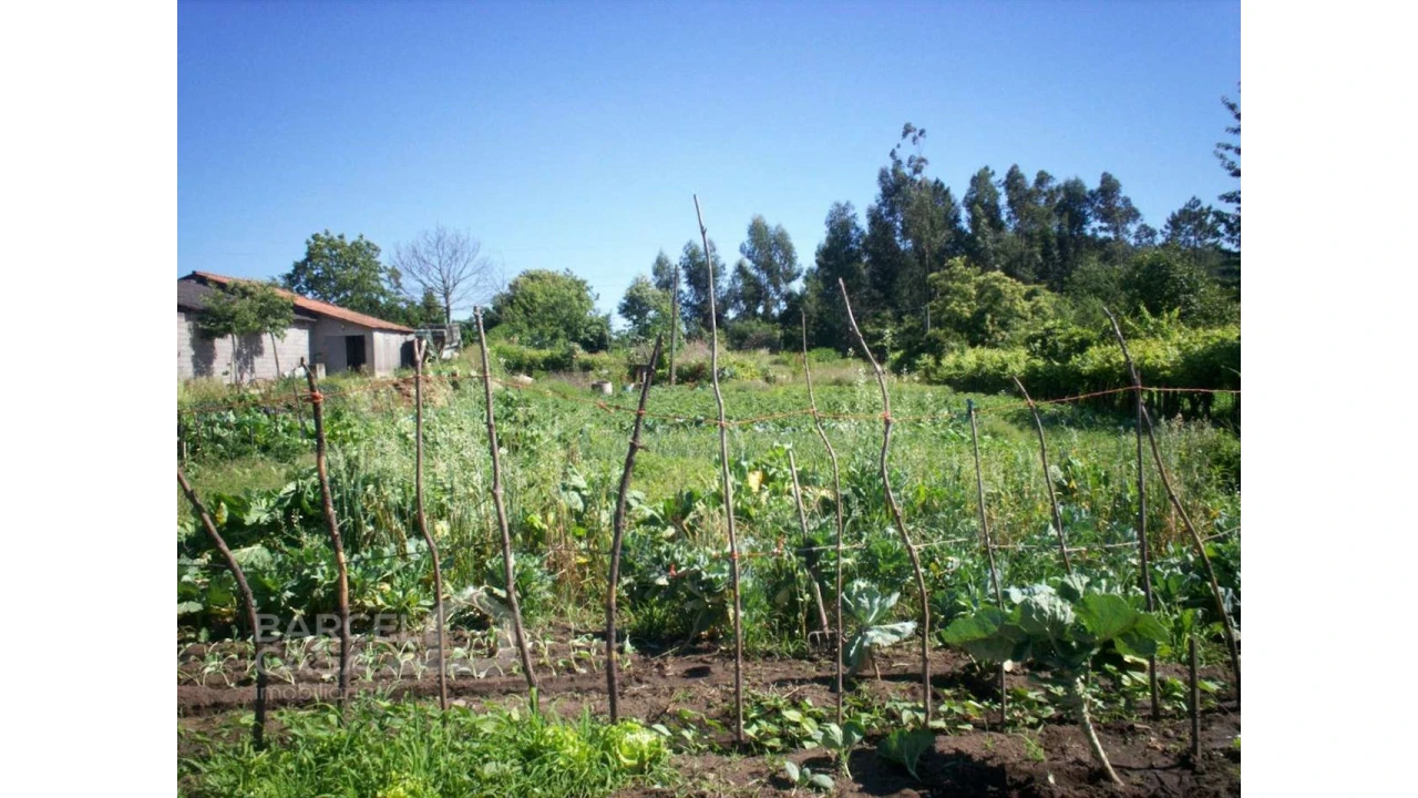Terreno para Venda em Carvalhal Foto 1