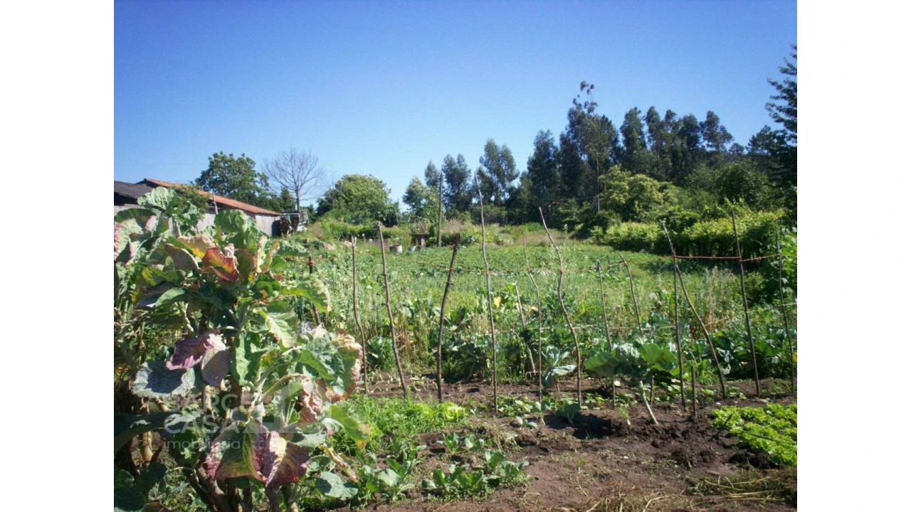 Terreno para Venda em Carvalhal Foto 4