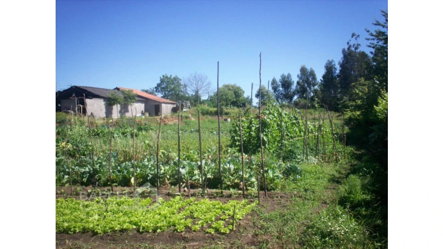 Terreno para Venda em Carvalhal Foto 2
