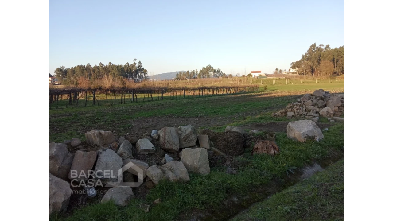 Terreno para Venda em Areias de Vilar e Encourados Foto 1