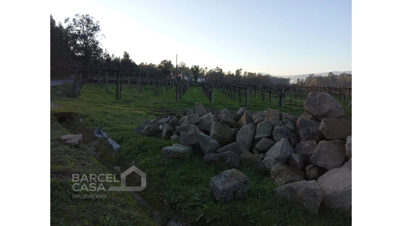 Terreno para Venda em Areias de Vilar e Encourados Foto 2