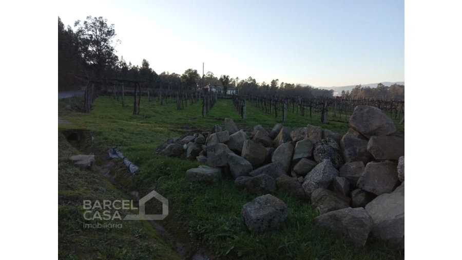 Terreno para Venda em Areias de Vilar e Encourados Foto 2