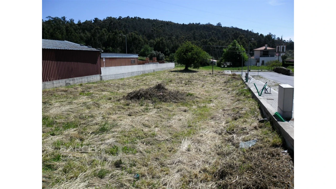 Terreno para Venda em Campo e Tamel (São Pedro Fins) Foto 3