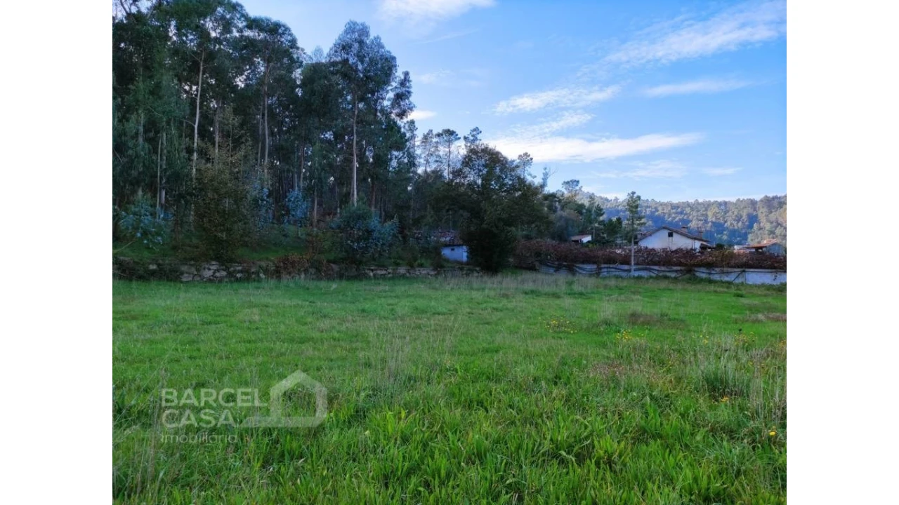 Terreno para Venda em Pereira Foto 3