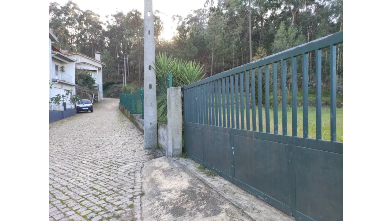 Terreno para Venda em Pereira Foto 5