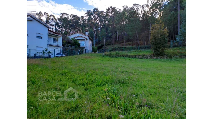 Terreno para Venda em Pereira Foto 4