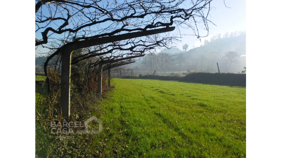 Terreno para Venda em Quintiães e Aguiar Foto 4