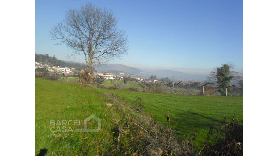 Terreno para Venda em Quintiães e Aguiar Foto 6