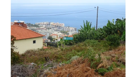 Moradia T3 para Venda em São Martinho