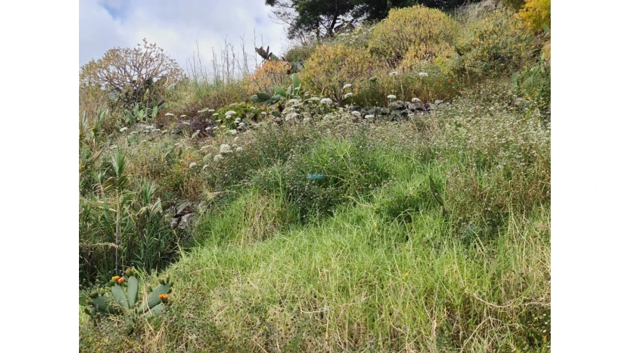 Terreno para Venda em Tabua Foto 7