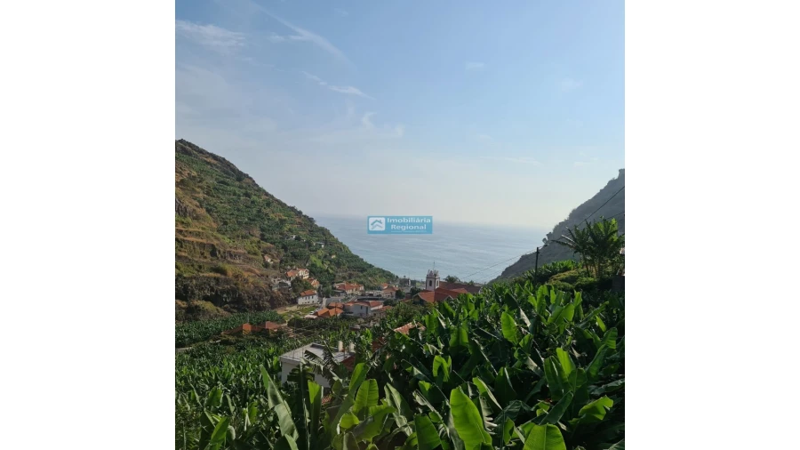 Terreno para Venda em Tabua Foto 3