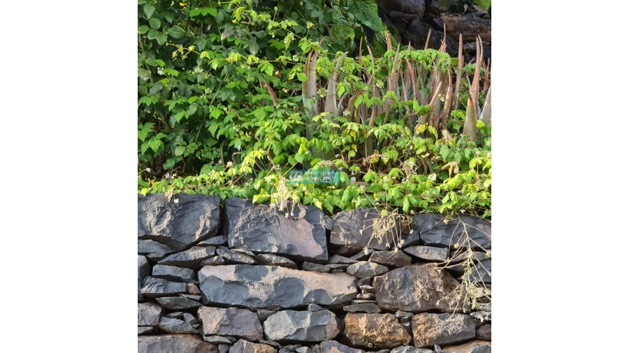 Terreno para Venda em Tabua Foto 14