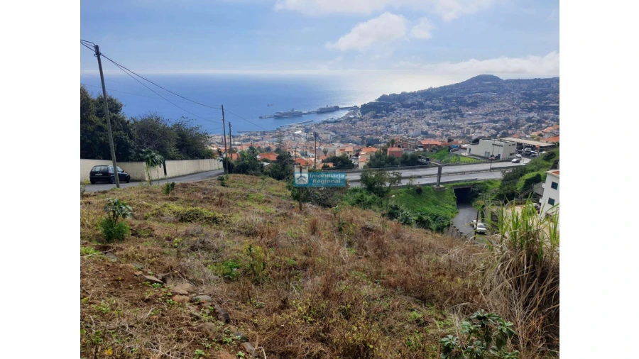Terreno para Venda em Funchal (Santa Maria Maior) Foto 8