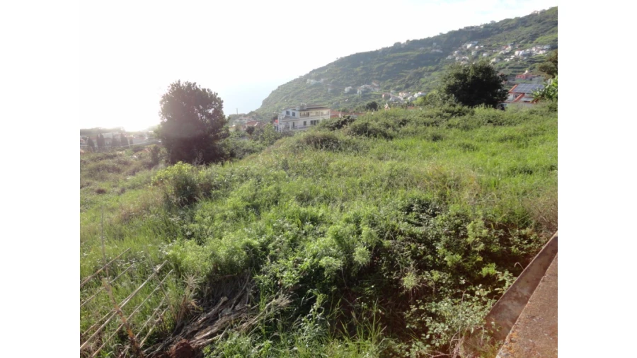 Terreno para Venda em Calheta Foto 2