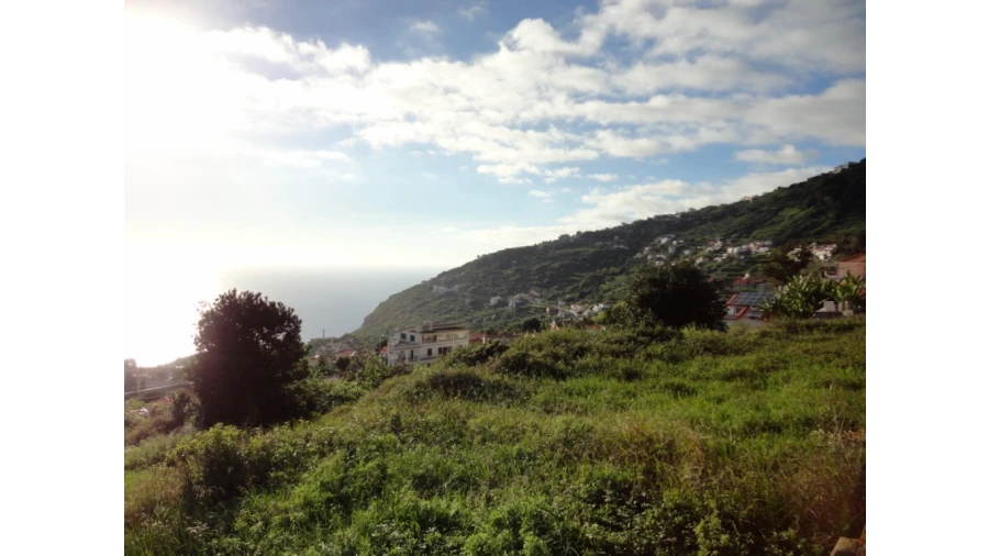 Terreno para Venda em Calheta Foto 3