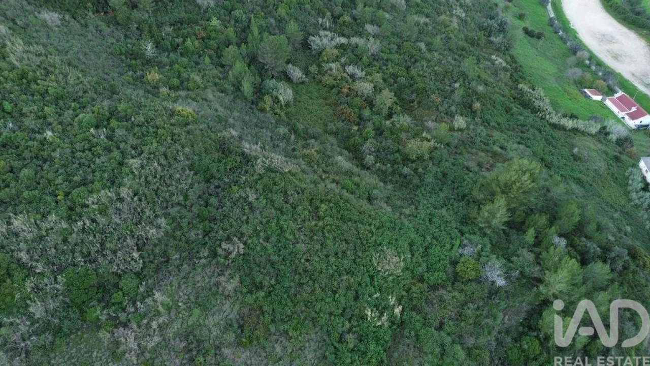 Terreno para Venda em Santa Maria, São Pedro e Matacães Foto 16
