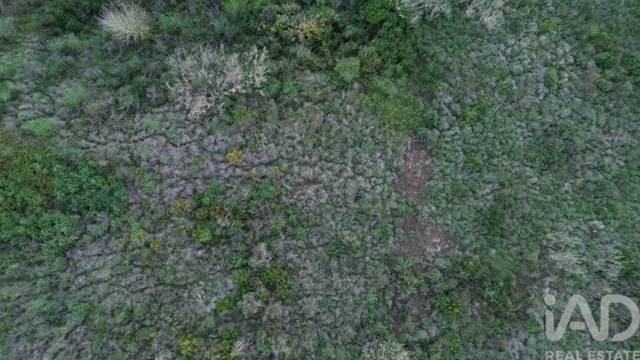 Terreno para Venda em Santa Maria, São Pedro e Matacães Foto 22