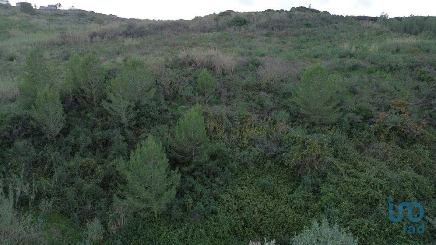 Terreno para Venda em Santa Maria, São Pedro e Matacães Foto 10