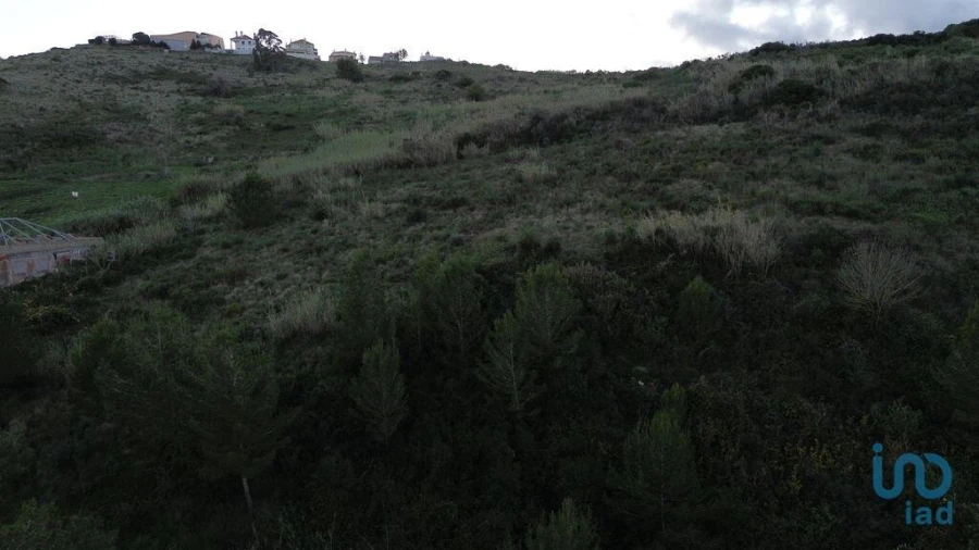 Terreno para Venda em Santa Maria, São Pedro e Matacães Foto 8