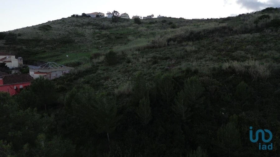Terreno para Venda em Santa Maria, São Pedro e Matacães Foto 9
