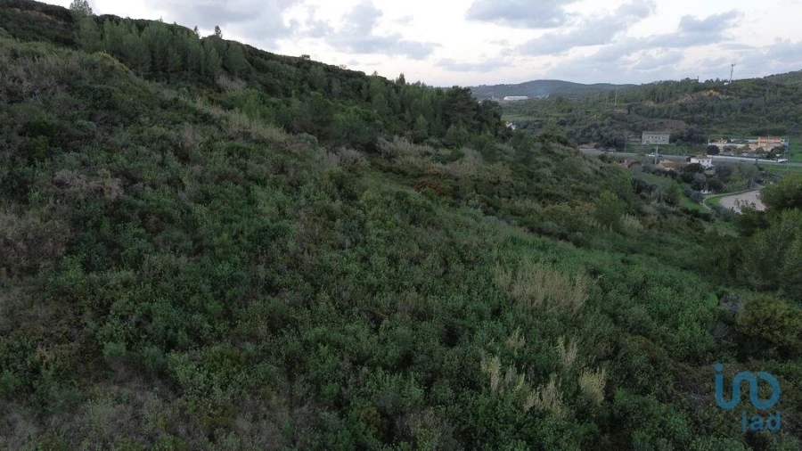 Terreno para Venda em Santa Maria, São Pedro e Matacães Foto 2
