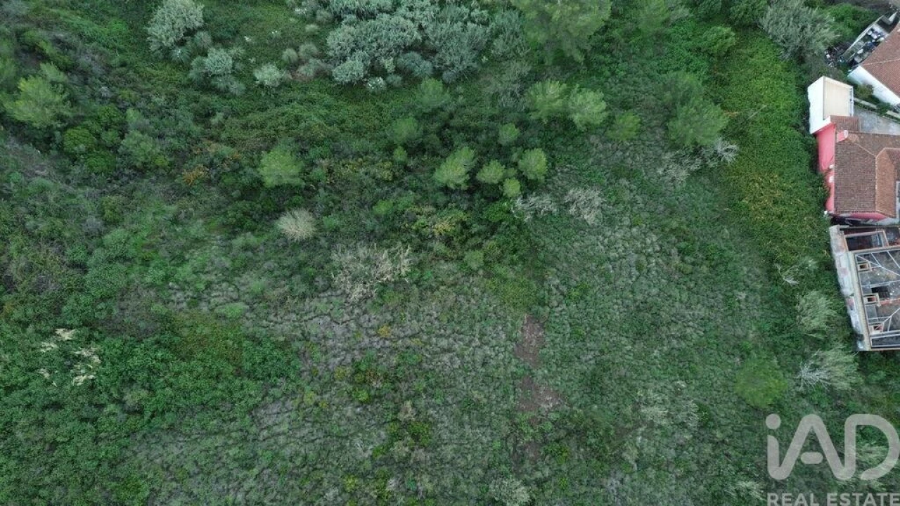 Terreno para Venda em Santa Maria, São Pedro e Matacães Foto 21
