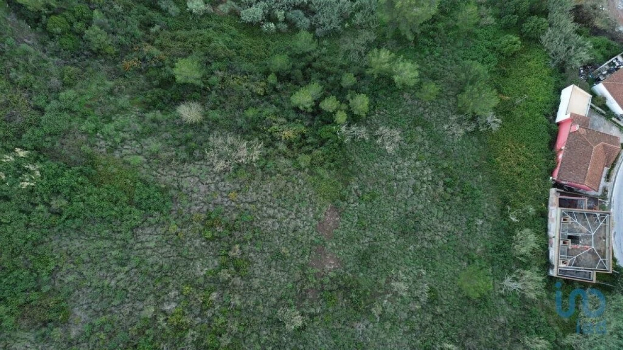 Terreno para Venda em Santa Maria, São Pedro e Matacães Foto 13