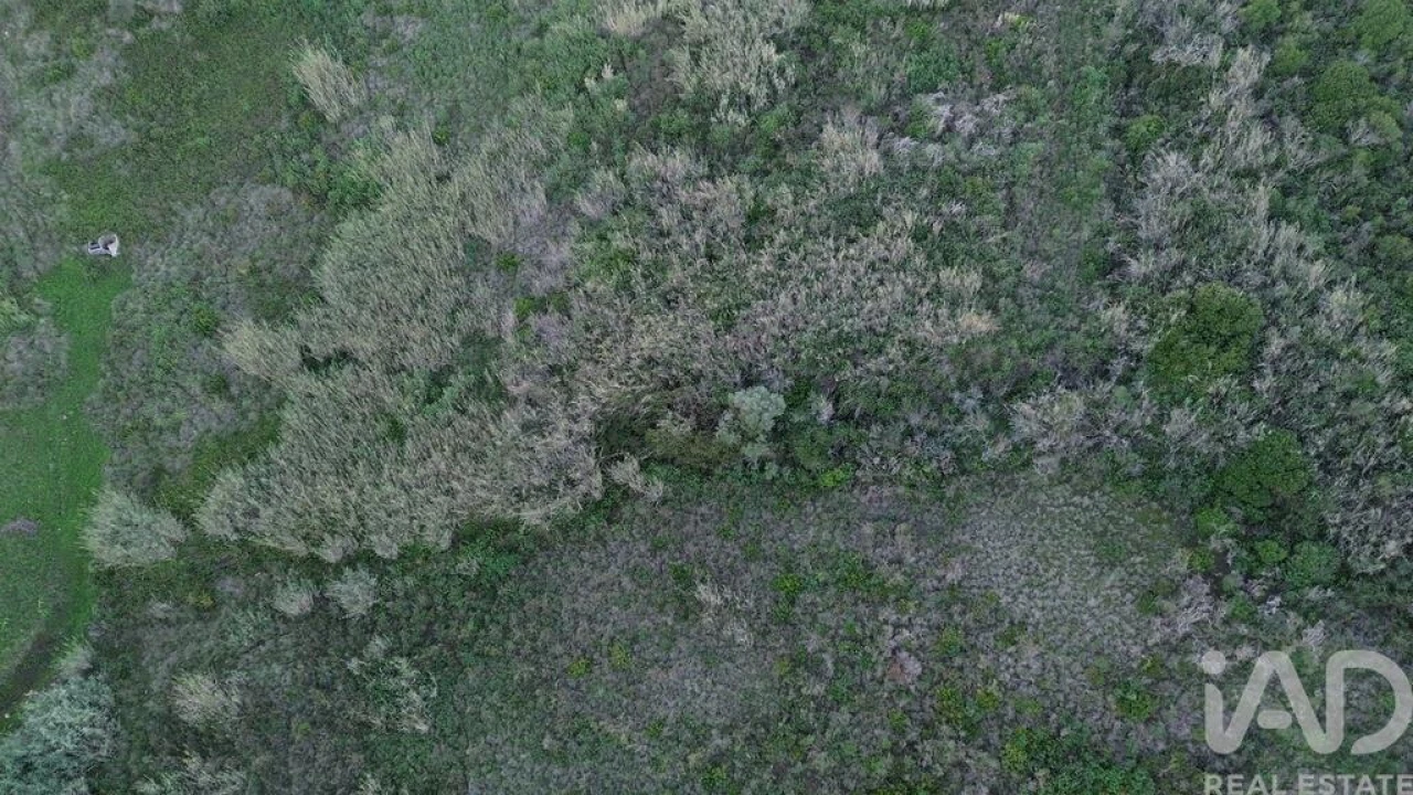 Terreno para Venda em Santa Maria, São Pedro e Matacães Foto 17