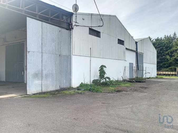 Armazém para Venda em Nossa Senhora do Pranto Foto 10