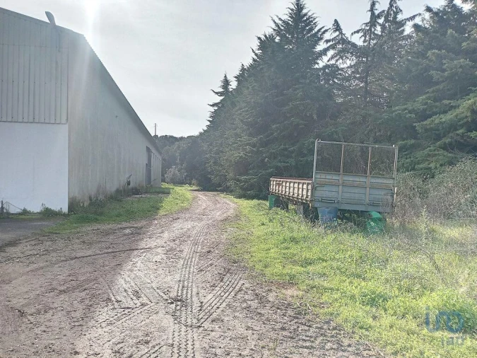 Armazém para Venda em Nossa Senhora do Pranto Foto 12