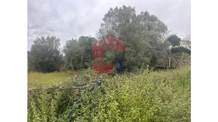 Terreno para Venda em Sande, Vilarinho, Barros e Gomide Foto 4