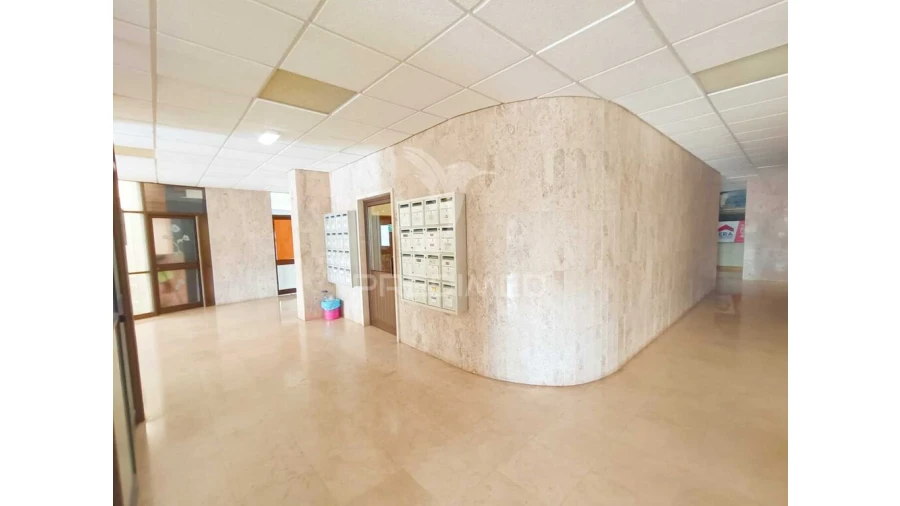 Loja para Venda em Fatima Foto 6