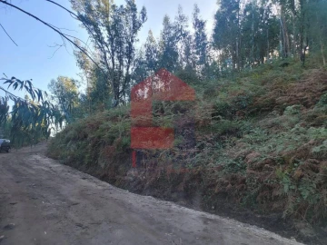 Terreno para Venda em Ribeira do Neiva