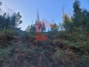 Terreno para Venda em Ribeira do Neiva
