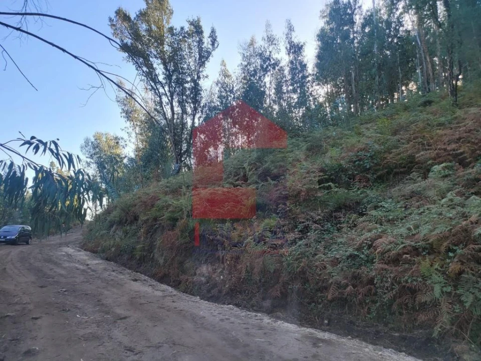 Terreno para Venda em Ribeira do Neiva Foto 1