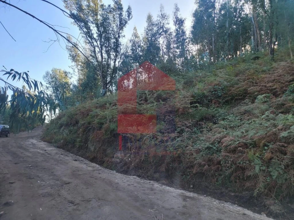 Terreno para Venda em Ribeira do Neiva Foto 5