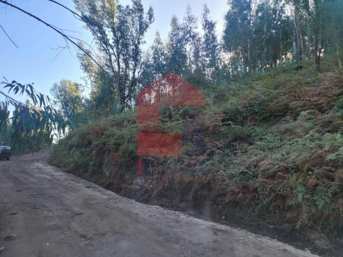 Terreno para Venda em Ribeira do Neiva Foto 5