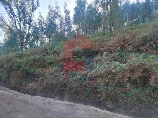 Terreno para Venda em Ribeira do Neiva Foto 2