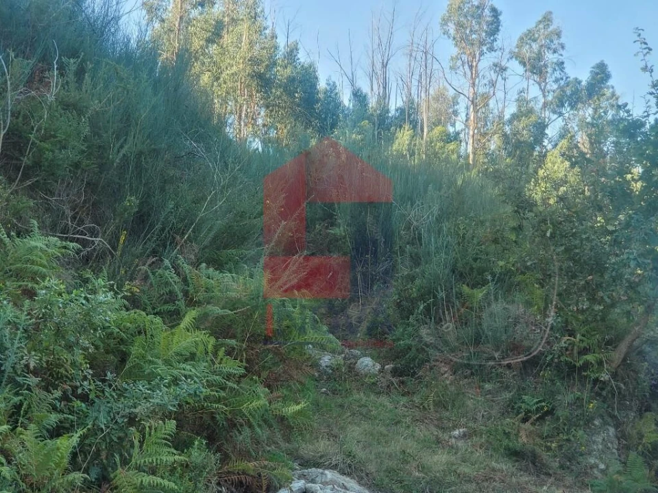 Terreno para Venda em Ribeira do Neiva Foto 3